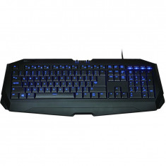 Tastatura Gigabyte FORCE K7, USB Gaming, iluminata - RESIGILAT foto