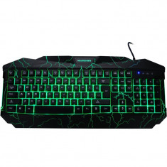 Tastatura Newmen GL800 Gaming iluminata LED, USB foto