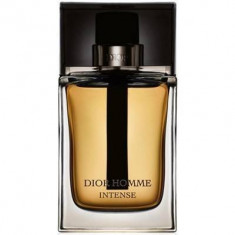 Christian Dior Dior Homme Intense Eau de Parfum 100ml foto
