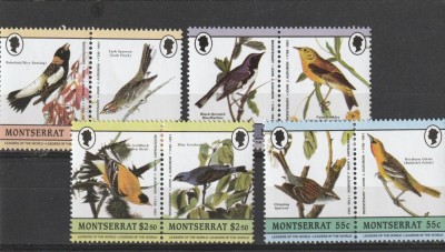 Fauna pasari cantatoare ,Monserat. foto