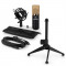 AUNA MIC-900BG-LED V1, set de microfon usb, microfon condensator negru-auriu + suport de masa