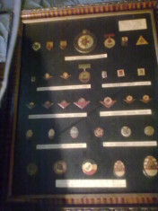 Colectie insigne si medalii pioneri foto