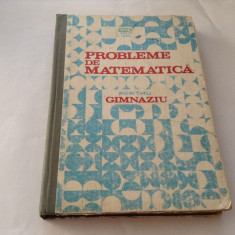 Probleme De Matematica Pentru Gimnaziu - I. Petrica C. Stefan St. Alexe,RF1 foto