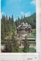 bnk cp Lacul Rosu - Vila - circulata