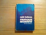 FRUMOASA ADORMITA - Radu Tudoran - Editura Eminescu, 1981, 602 p.