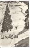 A carte postala -FELICIATARE -La multi ani