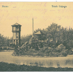 3876 - BUZAU, Park, Romania - old postcard - used - 1918