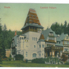 3884 - SINAIA, Prahova, Pelisor Castle - old postcard - used - 1908