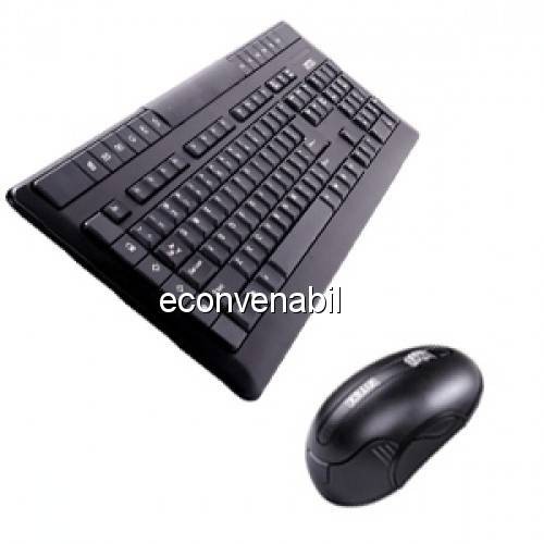 Intex kit wireless mouse si tastatura duo 2504wc foto mare Intex kit wireless mouse si tastatura duo 2504wc foto mare