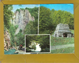 VIRGHIS COVASNA 1977