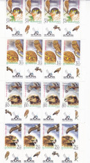 PASARI DE PRADA,MARGINE DE COALA CU TABS IMAGINI DIFERITE 2007,MNH, ROMANIA. foto