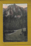 SINAIA POIANA SI MUNTELE COSTILA 1924, Circulata, Fotografie
