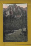 SINAIA POIANA SI MUNTELE COSTILA 1924