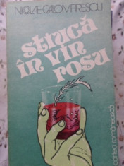 Stiuca In Vin Rosu - Nicolae Calomfirescu ,400339 foto