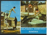 CPI (B8839) CARTE POSTALA - DELFINARIU CONSTANTA. ROMANIA, MOZAIC