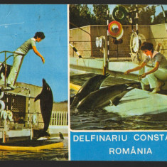 CPI (B8839) CARTE POSTALA - DELFINARIU CONSTANTA. ROMANIA, MOZAIC