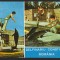 CPI (B8839) CARTE POSTALA - DELFINARIU CONSTANTA. ROMANIA, MOZAIC