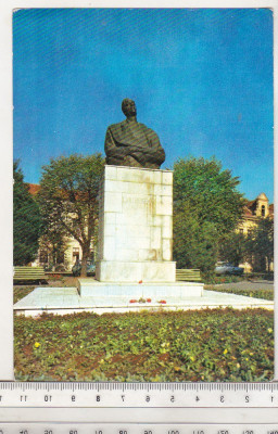 bnk cp Bistrita - Bustul lui Liviu Rebreanu - necirculata foto