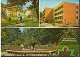 CPI (B8881) CARTE POSTALA - BUZIAS, MOZAIC, Circulata, Fotografie