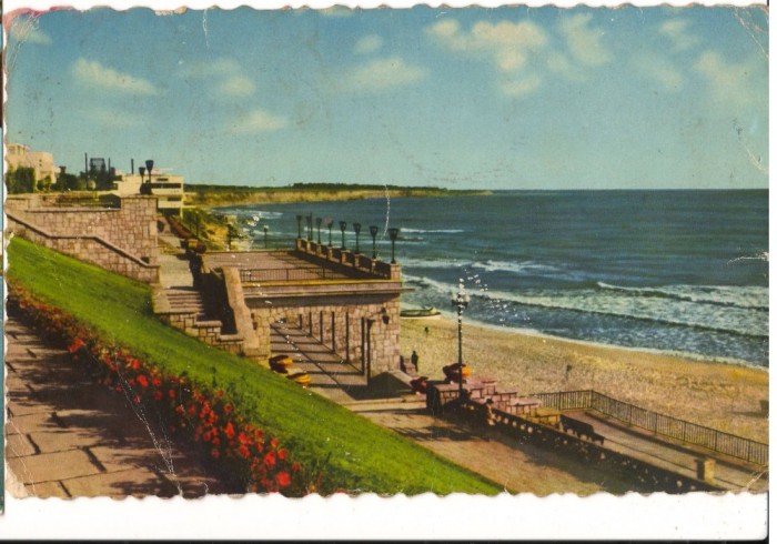 CPI (B8855) CARTE POSTALA - EFORIE. FALEZA, RPR