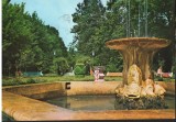CPI (B8879) CARTE POSTALA - BUZIAS, PARCUL, Circulata, Fotografie