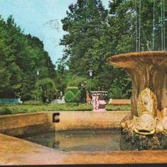 CPI (B8879) CARTE POSTALA - BUZIAS, PARCUL