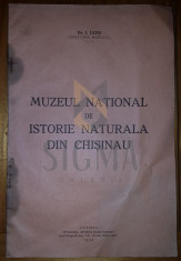 IOSIF LEPSI, MUZEUL NATIONAL DE ISTORIE NATURALA DIN CHISINAU, CHISINAU, 1934 foto