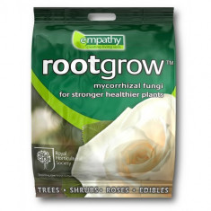 Fertilizator cu miccoriza - RHS rootgrow 60g foto