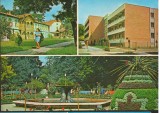 CPI (B8880) CARTE POSTALA - BUZIAS, MOZAIC, Circulata, Fotografie