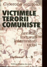 LICHIDARE-Victimele terorii comuniste - Autor : Cicerone Ionitoiu - 136105 foto