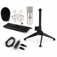 AUNA CM001S, set de microfon V1, microfon condensator, adaptor USB, suport de microfon, culoarea argintie foto