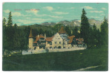 3934 - SINAIA, Prahova, Corpul de Garda - old postcard - used - 1914, Circulata, Printata