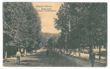 3941 - RM. VALCEA, Ave. Tudor Vladimirescu - old postcard - unused, Necirculata, Printata