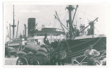 3960 - BRAILA, Harbor, ship - old postcard, real PHOTO - unused, Necirculata, Fotografie