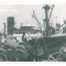 3960 - BRAILA, Harbor, ship - old postcard, real PHOTO - unused