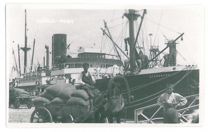 3960 - BRAILA, Harbor, ship - old postcard, real PHOTO - unused