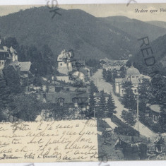 3930 - SINAIA, Prahova, salesman - old postcard - used - 1904