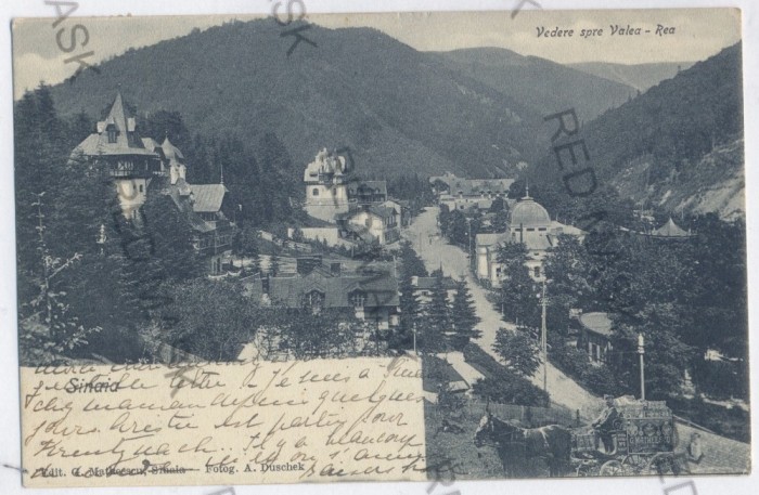 3930 - SINAIA, Prahova, salesman - old postcard - used - 1904