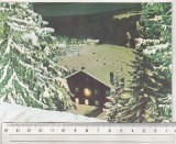 bnk cp Paltinis - Noaptes - necirculata