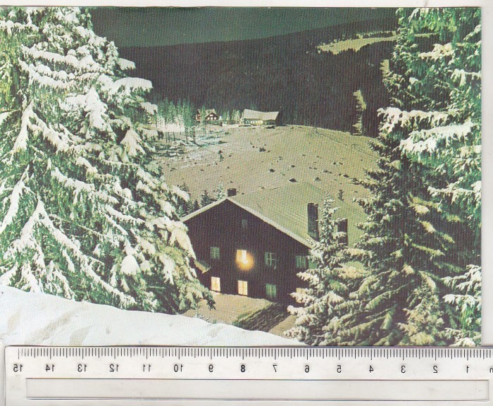 bnk cp Paltinis - Noaptes - necirculata