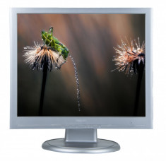 Philips 190S5 19&amp;quot; LCD 1280 x 1024 foto