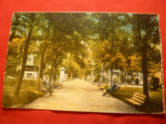 Ilustrata Calimanesti-Caciulata-Parcul Ostrovului ,1939 , color foto