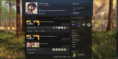 Cont de steam CSGO 1100 ORE si GTA V cu 100 ORE foto