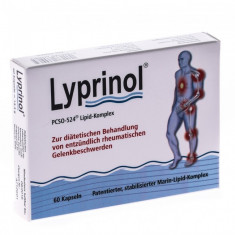 Lyprinol 60 cps foto