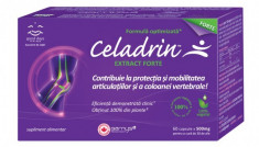 Celadrin Extract Forte 60 cps foto