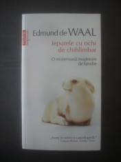 EDMUND DE WAAL - IEPURELE CU OCHI DE CHIHLIMBAR foto