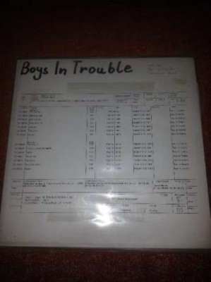 Boys In Trouble -Evolution Blues-White Label- Test Pressing-BMG Ariola 1989 GER foto