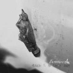 Its Everyone Else - Heaven is an Empty Room ( 1 VINYL ) foto