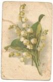 A carte postala(ilustrata) -FELICIATARE -margaritar
