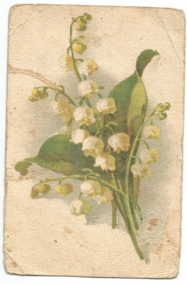 A carte postala(ilustrata) -FELICIATARE -margaritar foto